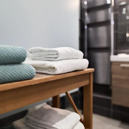 Vesle Apartment Reims